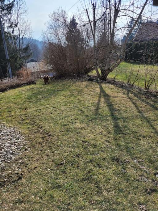 Appartement Le Flocon, Joli Petit Cocon 4 Pers En Rez De Jardin Draps Inclus Ле-Русс Экстерьер фото